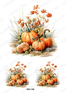 Rýžový a Soft papír A4 pro decoupage- R02176