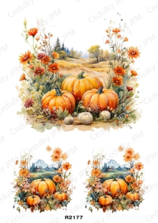 Rýžový a Soft papír A4 pro decoupage- R02177