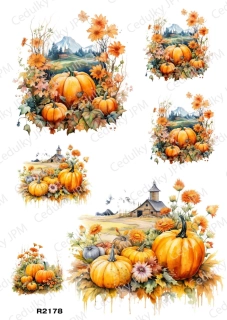 Rýžový a Soft papír A4 pro decoupage- R02178