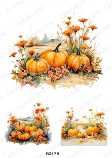Rýžový a Soft papír A4 pro decoupage- R02179