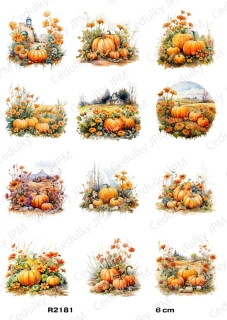 Rýžový a Soft papír A4 pro decoupage- R02181