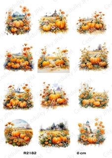 Rýžový a Soft papír A4 pro decoupage- R02182