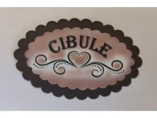 Cibule-268