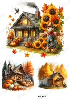 Rýžový a Soft papír A4 pro decoupage- R02269