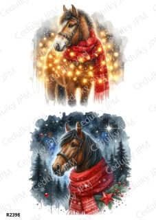 Rýžový a Soft papír A4 pro decoupage- R02398