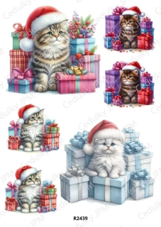 Rýžový a Soft papír A4 pro decoupage- R02439