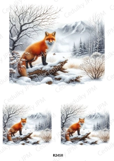Rýžový a Soft papír A4 pro decoupage- R02450