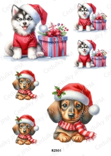 Rýžový a Soft papír A4 pro decoupage- R02501
