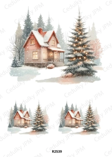 Rýžový a Soft papír A4 pro decoupage- R02539