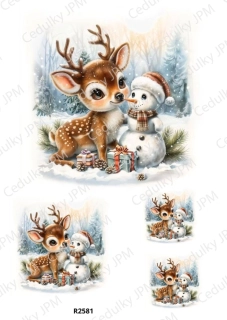 Rýžový a Soft papír A4 pro decoupage- R02581
