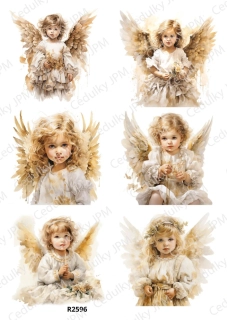 Rýžový a Soft  papír  A4 pro decoupage- R02596