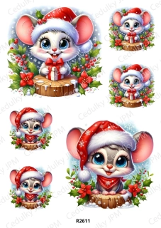Rýžový a Soft papír A4 pro decoupage- R02611
