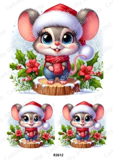 Rýžový a Soft  papír  A4 pro decoupage- R02612