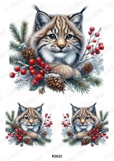 Rýžový a Soft  papír  A4 pro decoupage- R02622