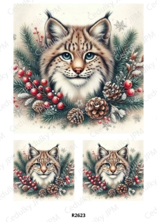 Rýžový a Soft  papír  A4 pro decoupage- R02623