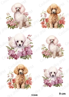 Rýžový a Soft  papír  A4 pro decoupage- R02646