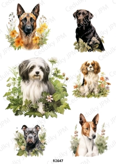Rýžový a Soft  papír  A4 pro decoupage- R02647