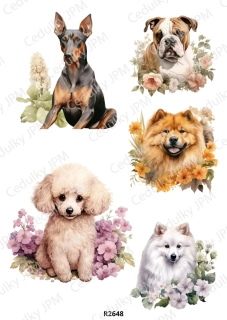 Rýžový a Soft  papír  A4 pro decoupage- R02648