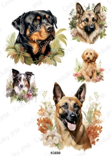 Rýžový a Soft  papír  A4 pro decoupage- R02650