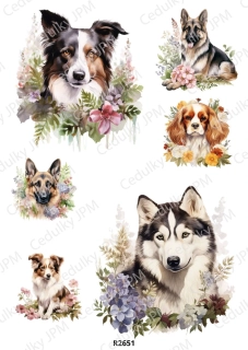 Rýžový a Soft  papír  A4 pro decoupage- R02651