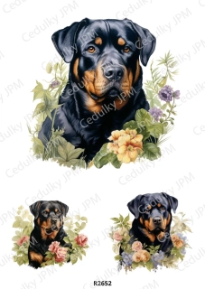 Rýžový a Soft  papír  A4 pro decoupage- R02652