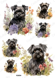 Rýžový a Soft  papír  A4 pro decoupage- R02654