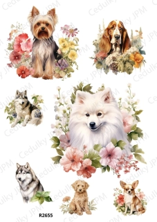 Rýžový a Soft  papír  A4 pro decoupage- R02655