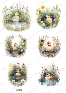 Rýžový a Soft  papír  A4 pro decoupage- R02657