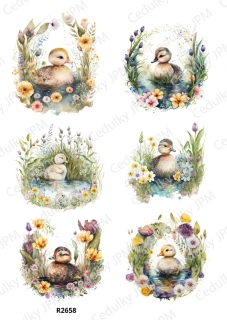 Rýžový a Soft papír A4 pro decoupage- R02658