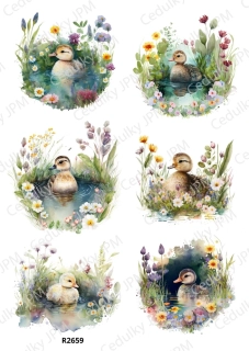 Rýžový a Soft  papír  A4 pro decoupage- R02659