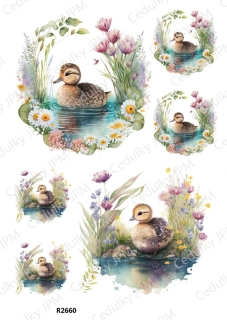 Rýžový a Soft  papír  A4 pro decoupage- R02660
