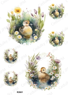 Rýžový a Soft papír A4 pro decoupage- R02661