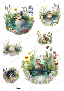 Rýžový a Soft  papír  A4 pro decoupage- R02662