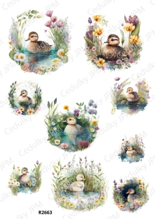 Rýžový a Soft  papír  A4 pro decoupage- R02663