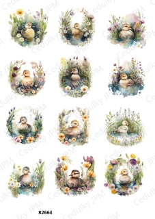 Rýžový a Soft papír A4 pro decoupage- R02664