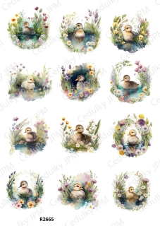 Rýžový a Soft  papír  A4 pro decoupage- R02665