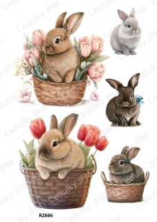 Rýžový a Soft  papír  A4 pro decoupage- R02666