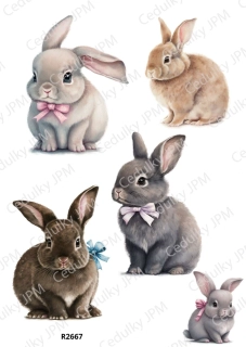 Rýžový a Soft  papír  A4 pro decoupage- R02667