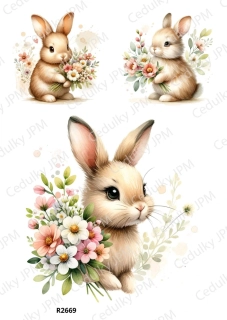 Rýžový a Soft  papír  A4 pro decoupage- R02669