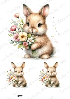 Rýžový a Soft  papír  A4 pro decoupage- R02671