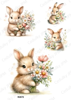 Rýžový a Soft  papír  A4 pro decoupage- R02672