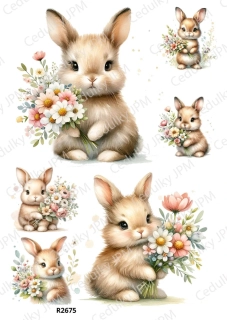 Rýžový a Soft  papír  A4 pro decoupage- R02675