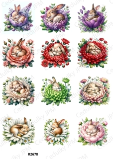 Rýžový a Soft  papír  A4 pro decoupage- R02678