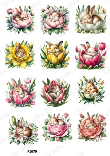 Rýžový a Soft  papír  A4 pro decoupage- R02679