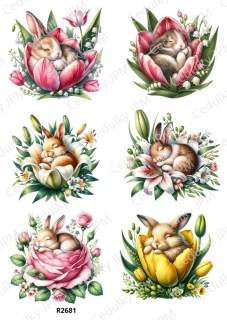 Rýžový a Soft  papír  A4 pro decoupage- R02681