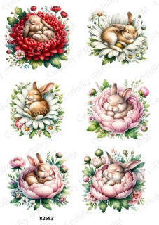 Rýžový a Soft  papír  A4 pro decoupage- R02683