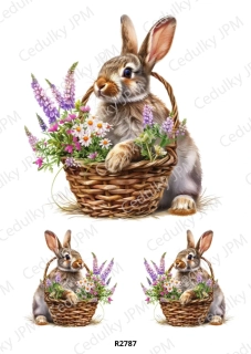 Rýžový a Soft papír A4 pro decoupage- R02787