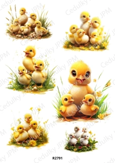 Rýžový a Soft papír A4 pro decoupage- R02791