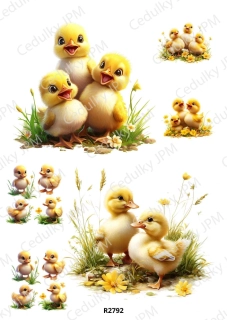 Rýžový a Soft papír A4 pro decoupage- R02792