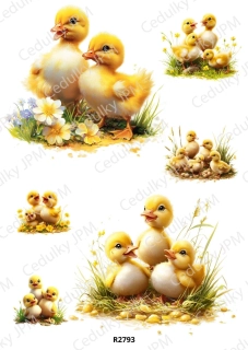 Rýžový a Soft papír A4 pro decoupage- R02793